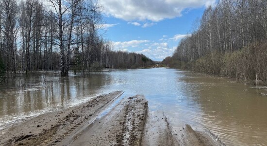 Затопления в Усть-Ишимском районе Омской области