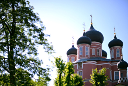 Донской монастырь